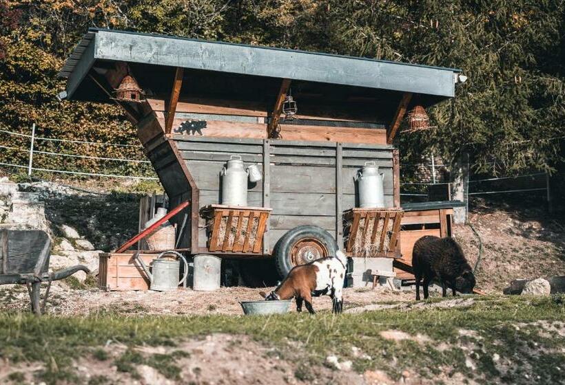 צימר La Maison Au Bord Du Lac