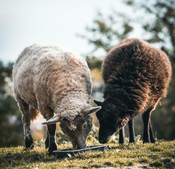 צימר La Maison Au Bord Du Lac