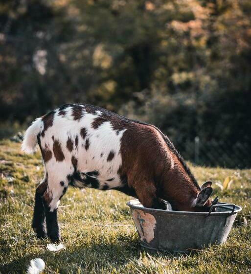צימר La Maison Au Bord Du Lac