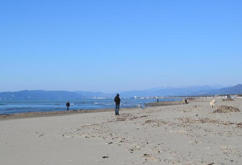 بنسيون Cb House Holiday