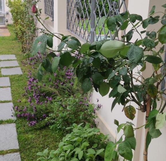 بنسيون Cb House Holiday