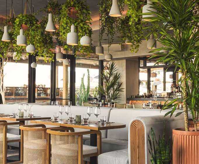 Senna House Hotel Scottsdale, Curio Collection By Hilton