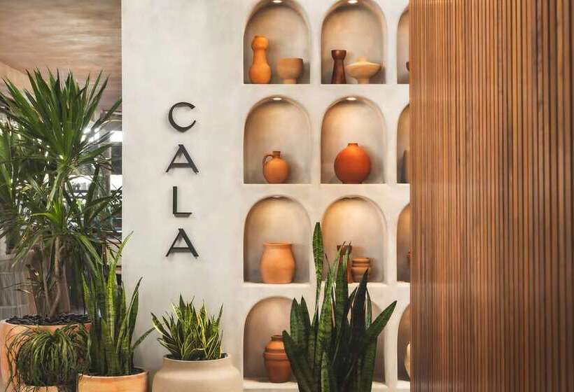 Senna House Hotel Scottsdale, Curio Collection By Hilton