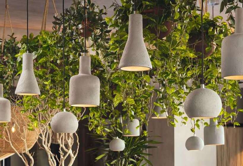 Senna House Hotel Scottsdale, Curio Collection By Hilton