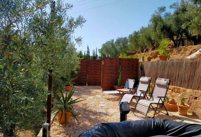 Bed and Breakfast Casa Rural Buenavista Pedralba