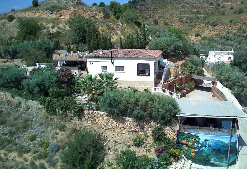 Bed and Breakfast Casa Rural Buenavista Pedralba