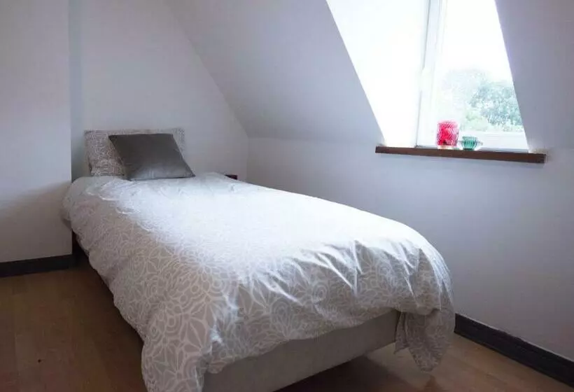 تختخواب و صبحانه Logies De Witte Hoeve