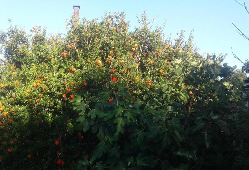 צימר Poplar Guest House