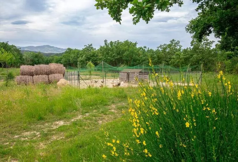 Hotelli Casale Rancaglia