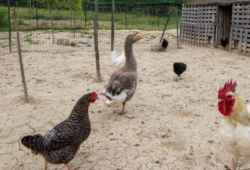 호텔 Casale Rancaglia