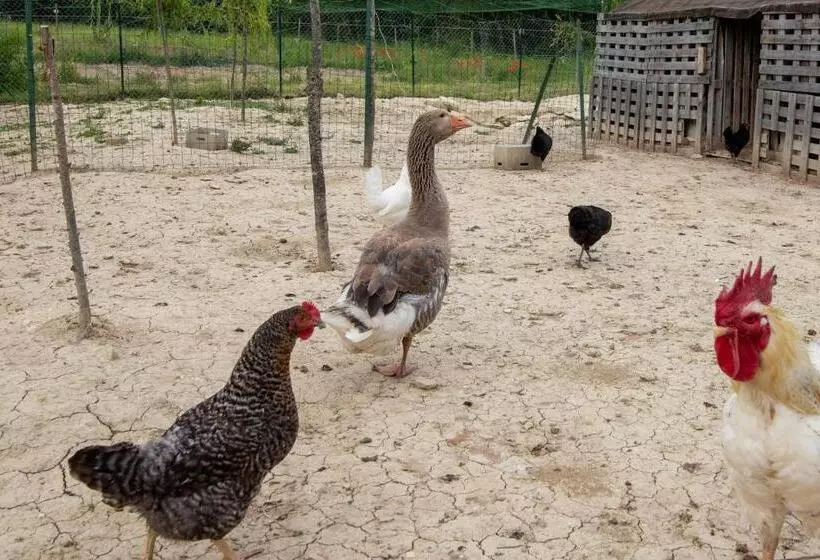 Hotelli Casale Rancaglia