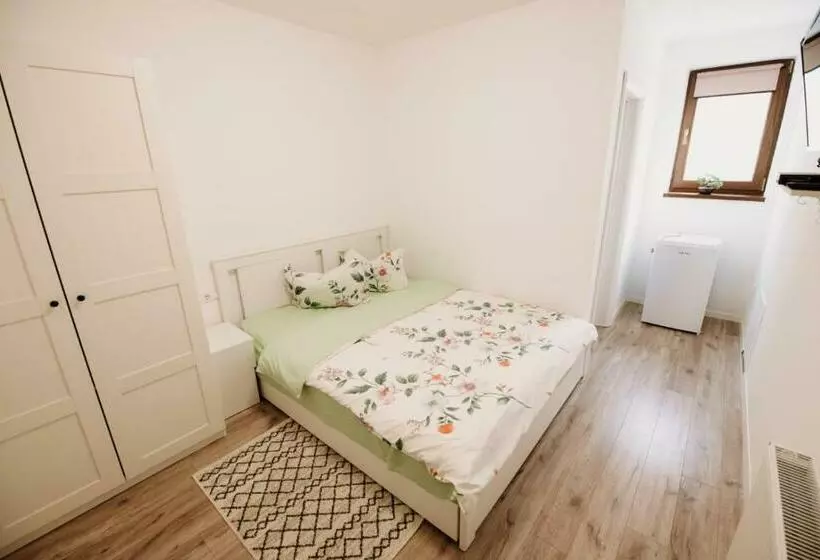 ユースホステル Suzanne Băile Figa  Camere Tip