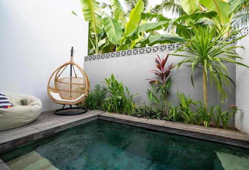 住宿加早餐  Tiga Studios   Adults Only