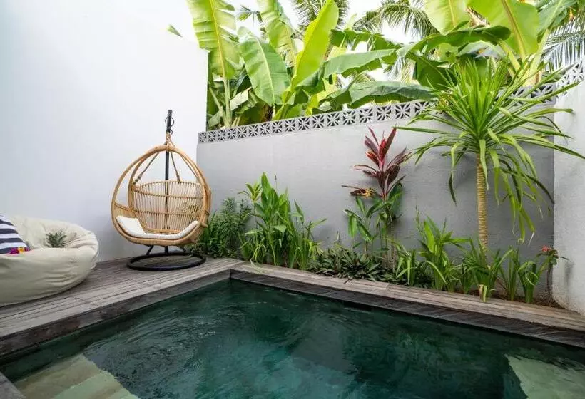 Aamiaismajoitus (B&B) Tiga Studios   Adults Only