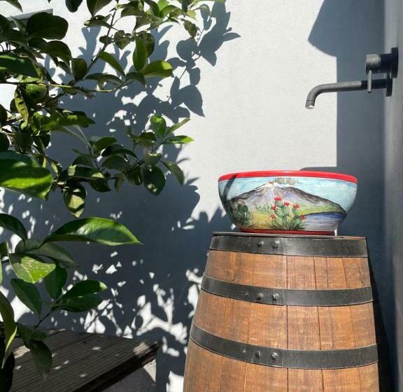 بنسيون Lumia N  Ciuri