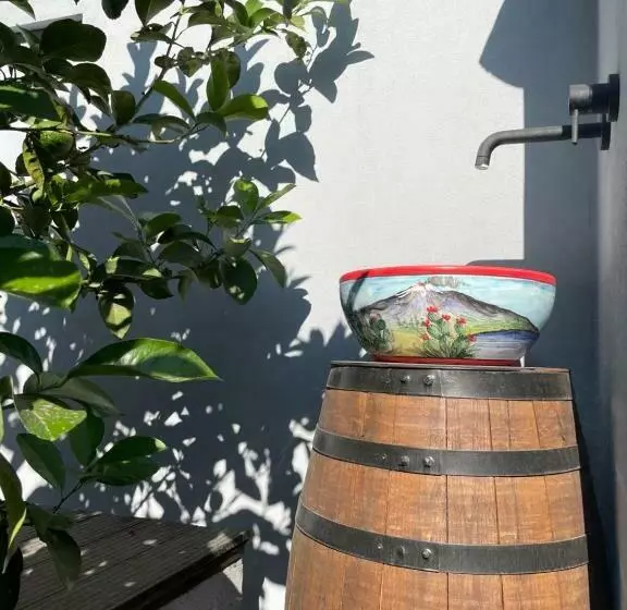 Majatalo Lumia N  Ciuri