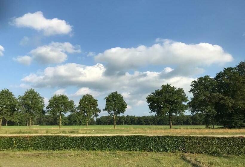 ベッドアンドブレックファースト Saromaja