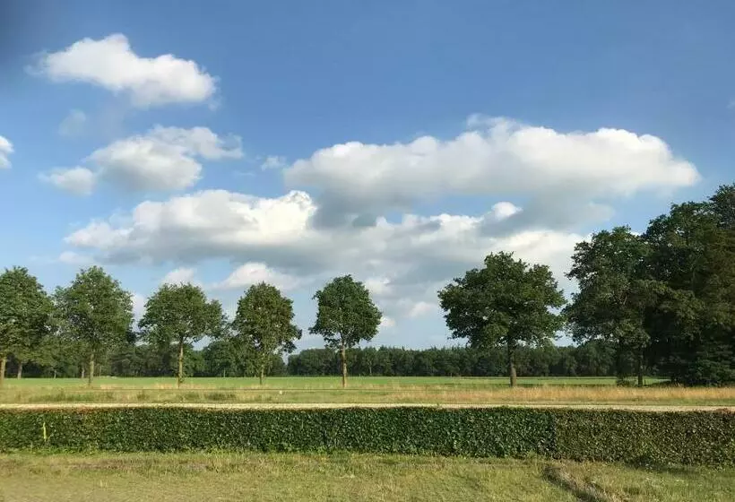 ベッドアンドブレックファースト Saromaja