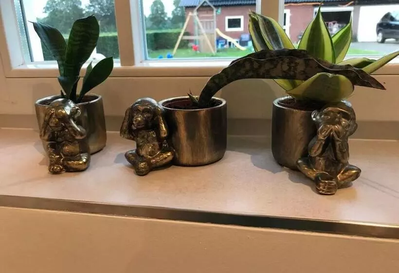 ベッドアンドブレックファースト Saromaja