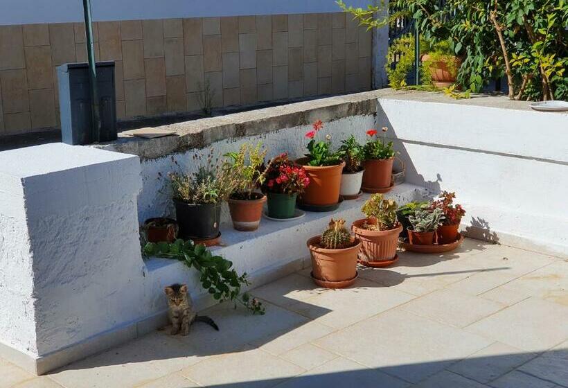 تختخواب و صبحانه Mamapulia Home