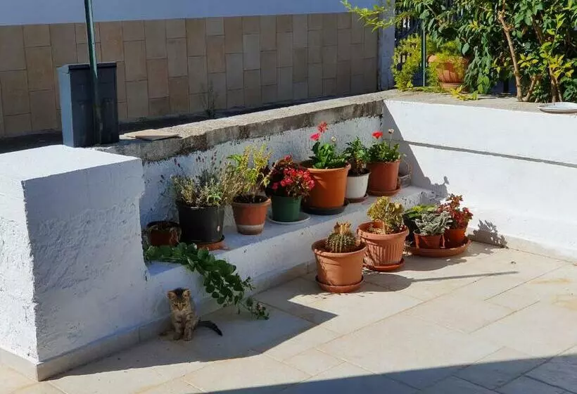 تختخواب و صبحانه Mamapulia Home