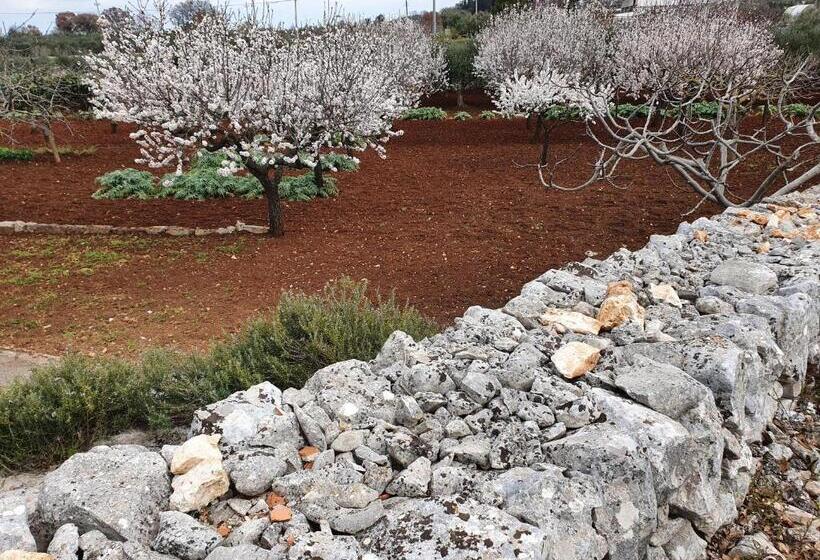 تختخواب و صبحانه Mamapulia Home