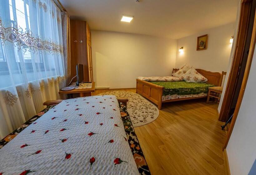 فندق Pensiunea Agroturistica Stefan Viorica