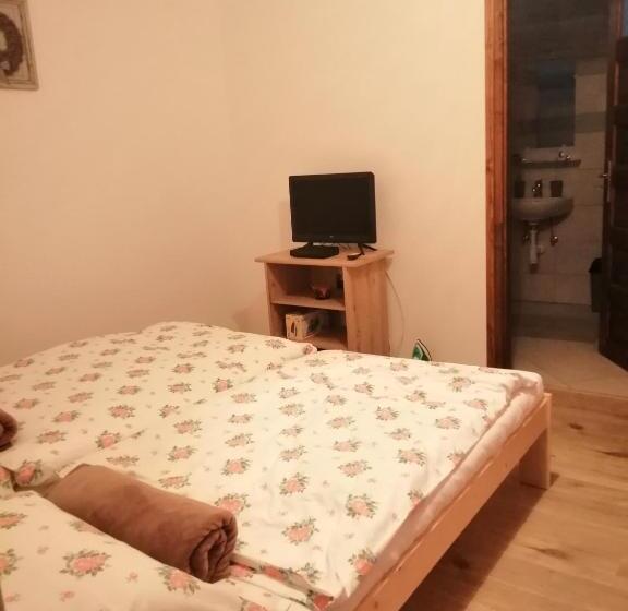 פנסיון Cinege Vendégház