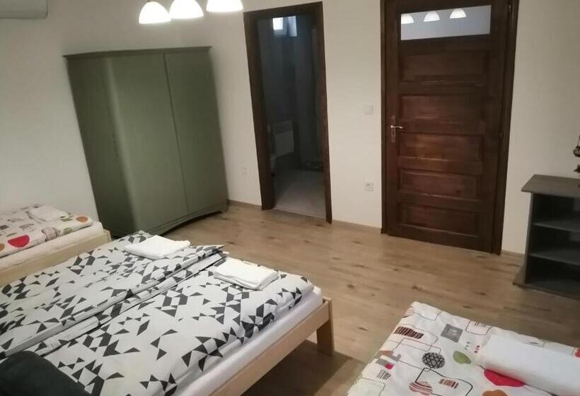 פנסיון Cinege Vendégház