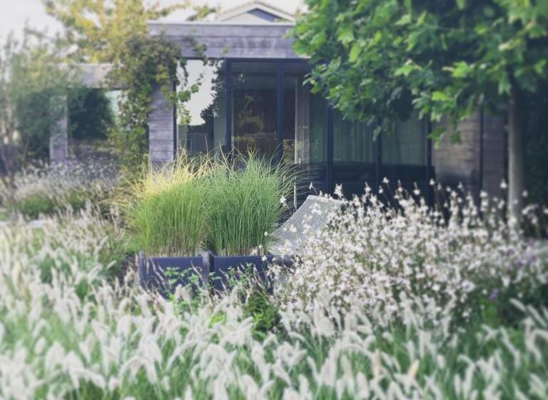 تختخواب و صبحانه Lit De Clémot