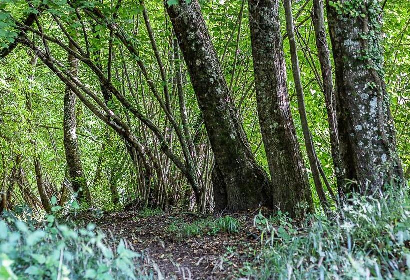 בית מלון כפרי Agriturismo Casal D Acqua Bianca