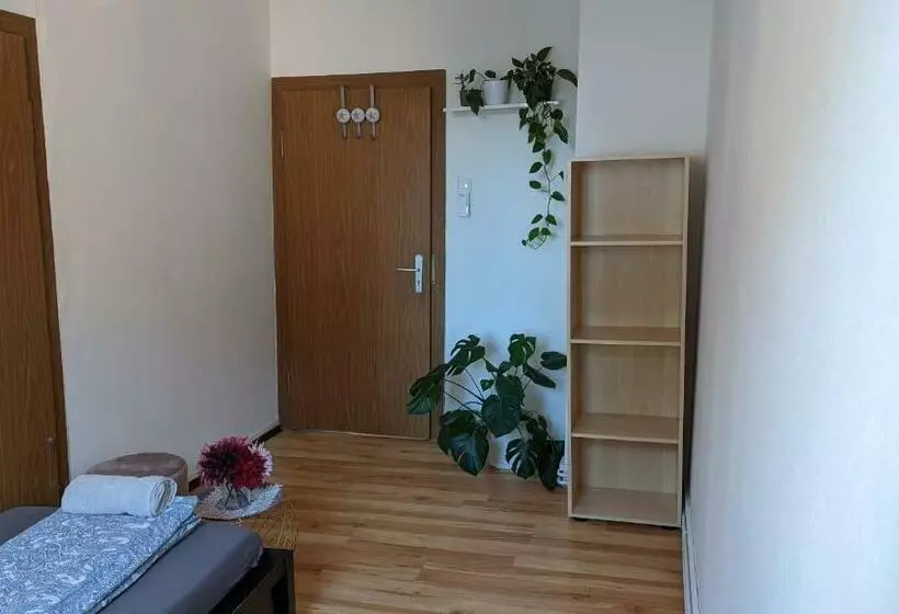 ペンション Single Room Near The Black Forest