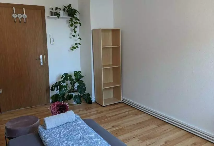 ペンション Single Room Near The Black Forest