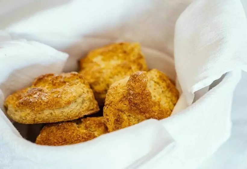 Aamiaismajoitus (B&B) Five Ferns House