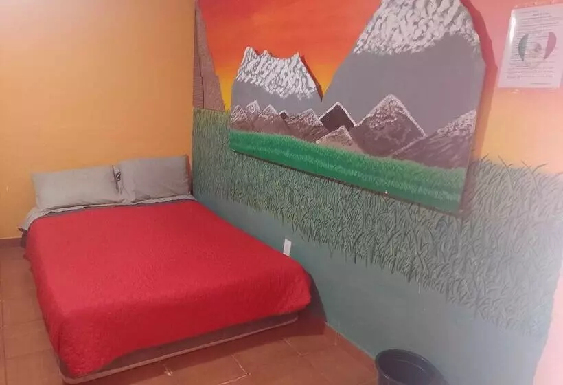 ペンション Alojamientos Mexico 5