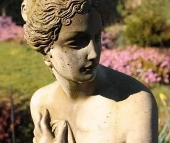 ベッドアンドブレックファースト Belvedere Lodge