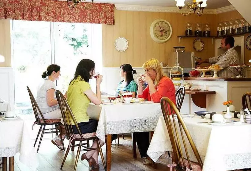 ベッドアンドブレックファースト Belvedere Lodge