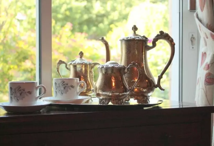 ベッドアンドブレックファースト Belvedere Lodge