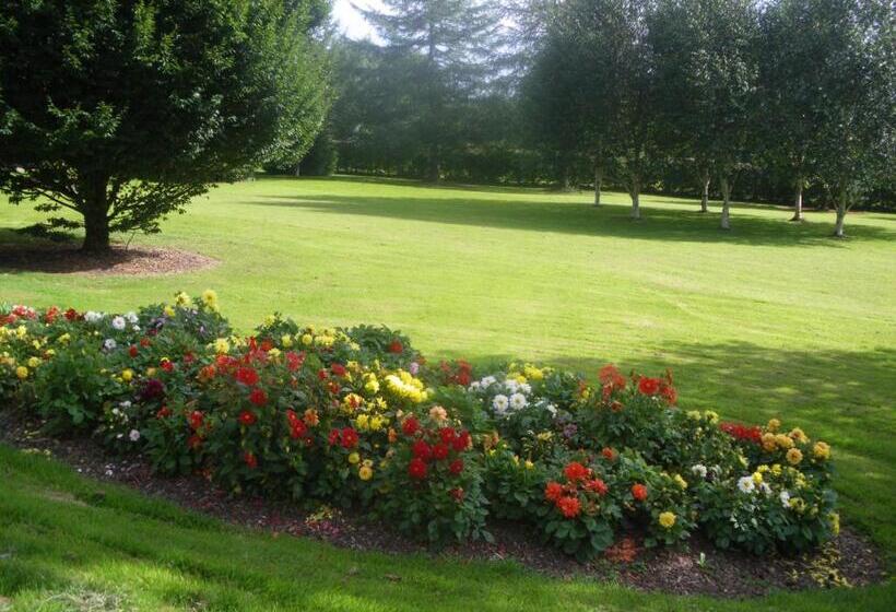 مبيت وإفطار Redwood