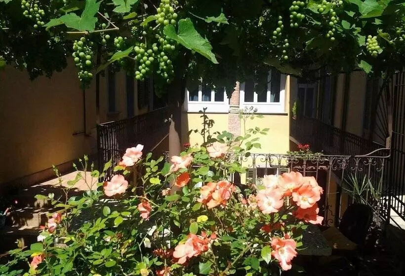 Casa Mario Lupo Apartments And Rooms