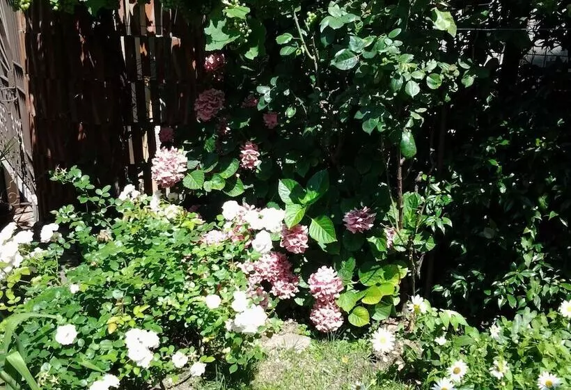 Casa Mario Lupo Apartments And Rooms