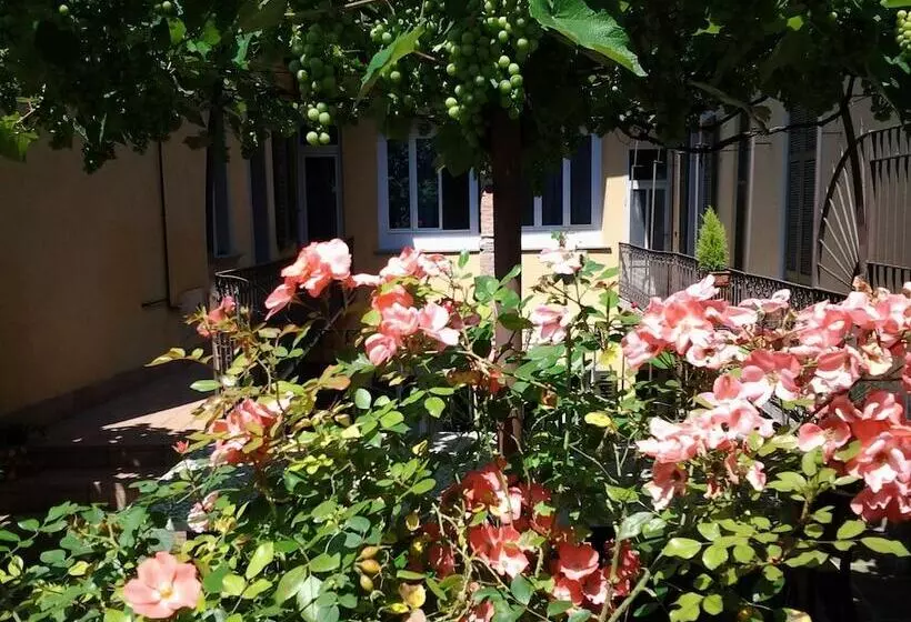 Casa Mario Lupo Apartments And Rooms