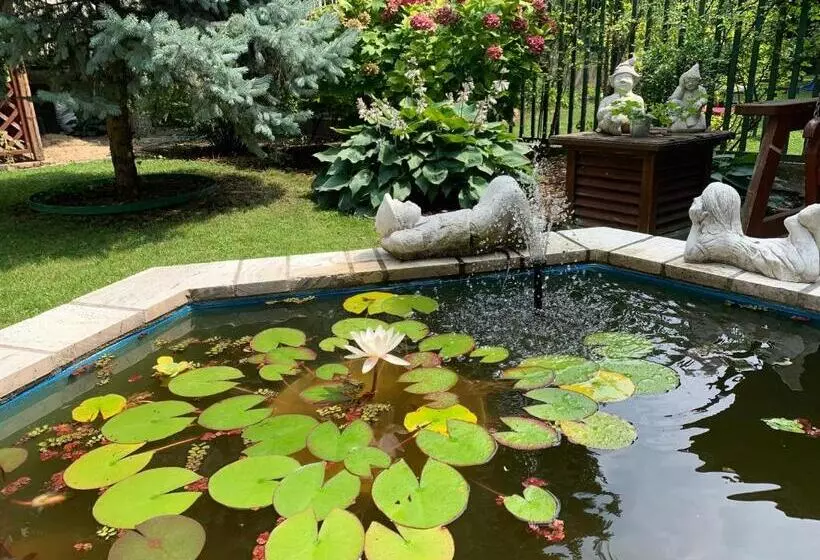 Szálloda Arcus Garden