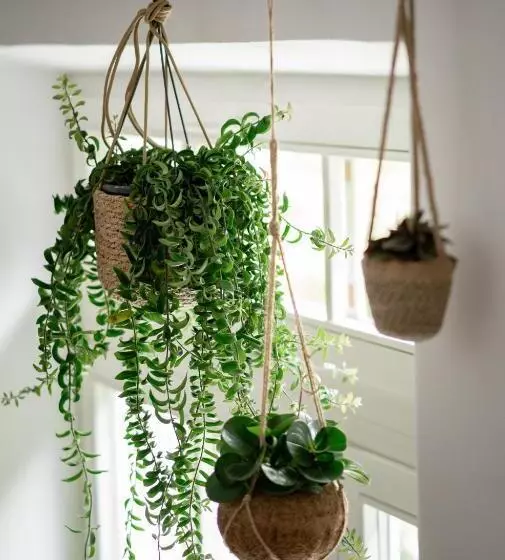 Szálloda Arcus Garden