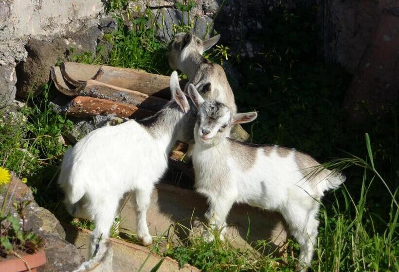 فندق ريفى Agriturismo Biologico Corte Aragonese