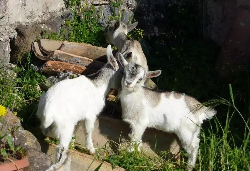 Сельский отель Agriturismo Biologico Corte Aragonese