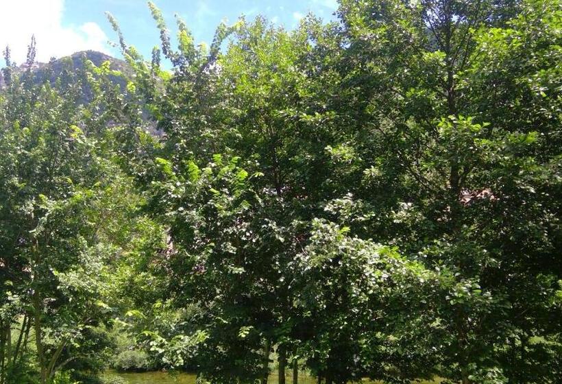 Bed and Breakfast Moulin De Parayre