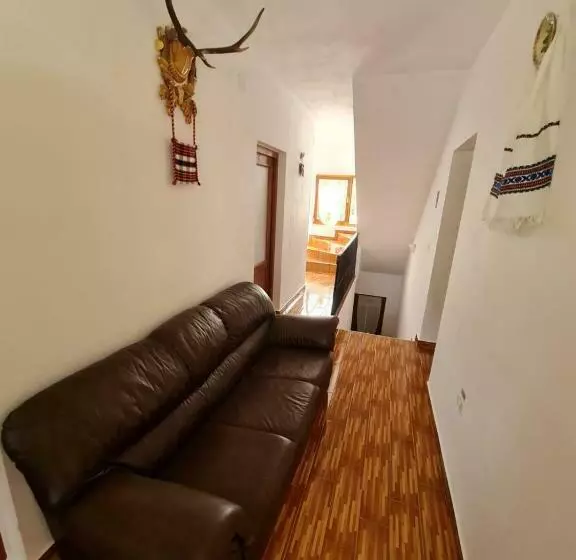 ペンション Cazare Luxandra