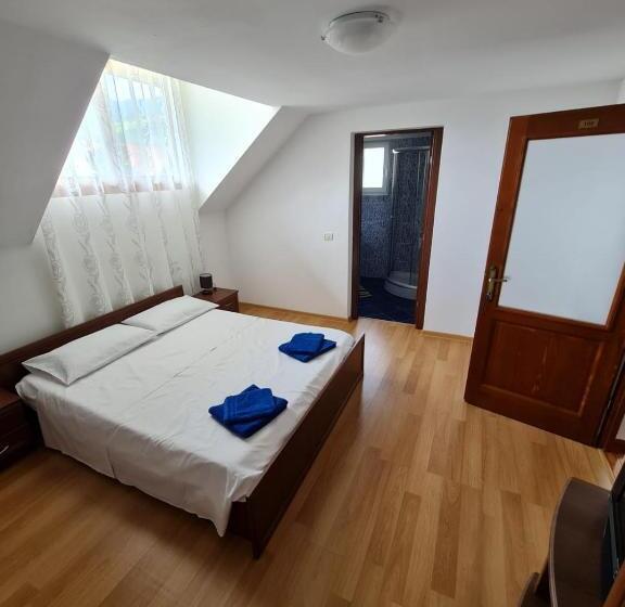 ペンション Cazare Luxandra