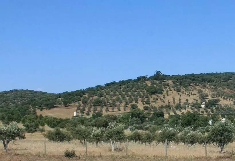 ペンション Girassol Alojamento Local